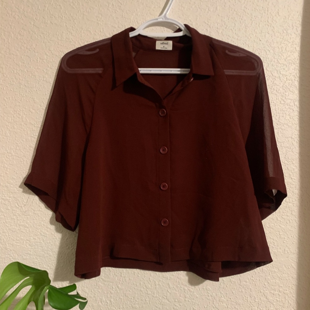 Sheer Cropped Top - Picture 6 of 9